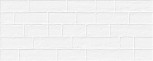 Edale Blanco 20x50