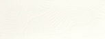 Palm White Matt 45x120