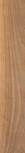 WALNUT TOBACCO RTT 20X120