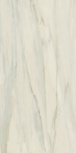I431 FOYER ROYAL DELICATE REFLEX RETT 60X119,5