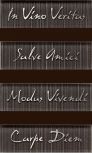 8287 Anthracite Latinum Glass  S4 3x10