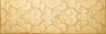 GOLD 20X59,2 