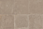 Tortora 20x20