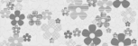ITT Decor Daisy 20x60