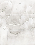   Florette ( 3 .) 60x75