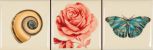 9422 Avorio Rosa set 3  10x10