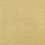Absolut Gold Gres Mate 49,1x49,1  