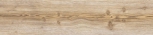 Neila Maple Natural 24,9x100 