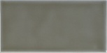 ADST1013 Liso Eucalyptus 7,3x14,8