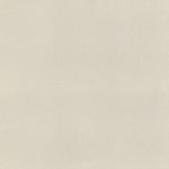 Adore Beige 4545  