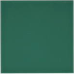 adri1025 Liso Rimini Green 10x10