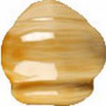 Angulo Remate Maqueda Ocre 5x5 . 