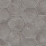 Antracite Essagono 25x21.6