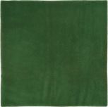 Aranjuez Verde 20x20  
