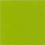 Arcoiris Pistacho 31,6x31,6  