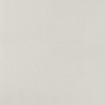 White 120X120