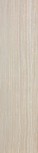 Avenue Cream 25x100
