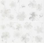 Printemps B-An-To 25x50