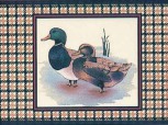 B Canard A 15x20  