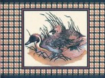 B Canard B 15x20  