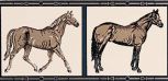 Horses 08 su Panna 10x20 
