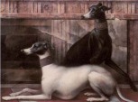 Noblesse B (Levrieri) 15x20 