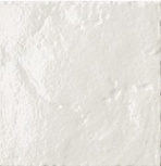 Provenzale Bianco Neve (1515)