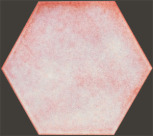 Bouganville 23,9x27,6