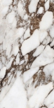 Breche Capraia Glossy 60x120