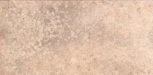   Venice Rev. Noce 25x50