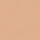 Colore&Colore B1 1010