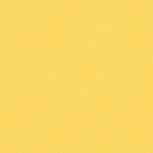 Colore&Colore B2 1010