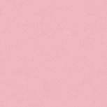 Colore&Colore B4 1010