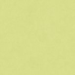 Colore&Colore B8 1010