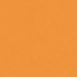 Colore&Colore C2 1010