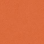 Colore&Colore D2 1010