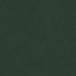 Colore&Colore D9 1010