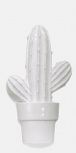 Cactus-a Blanco Brillo 30x60 