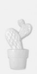Cactus-C Blanco Brillo 30x60 