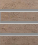 Jungle Capucino Stamp Mix 1561