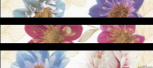 Cenefa Arcobaleno Fiori Mix3 6x50