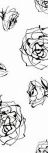 Cenefa Roses Blanco 10x30 