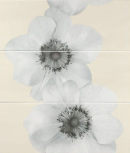 Flowers Oceano  25 x 65