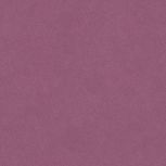 Colore&Colore C4 4040