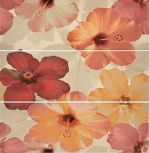 Composicion Moka Hibiscus S3 75x75