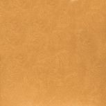 Crea Naranja 31,631,6  