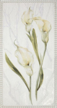 D.Calas-1-R 32x59