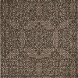 Minoo D1 20x20