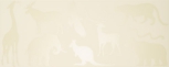   Dec.HOME WILD BONE D2063 20x50 