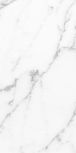 ARAL WHITE POLISHED RECT 60X120
